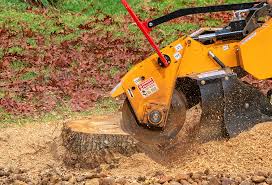 Reliable Sand Ridge, NY Tree Services Solutions