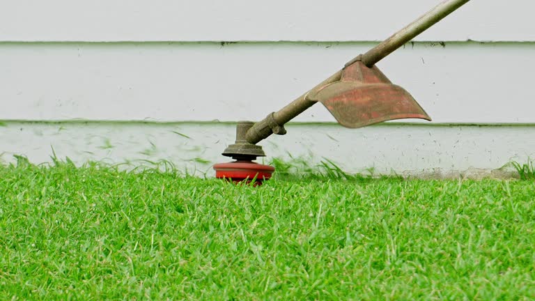 Organic Lawn Care Solutions in Sand Ridge, NY